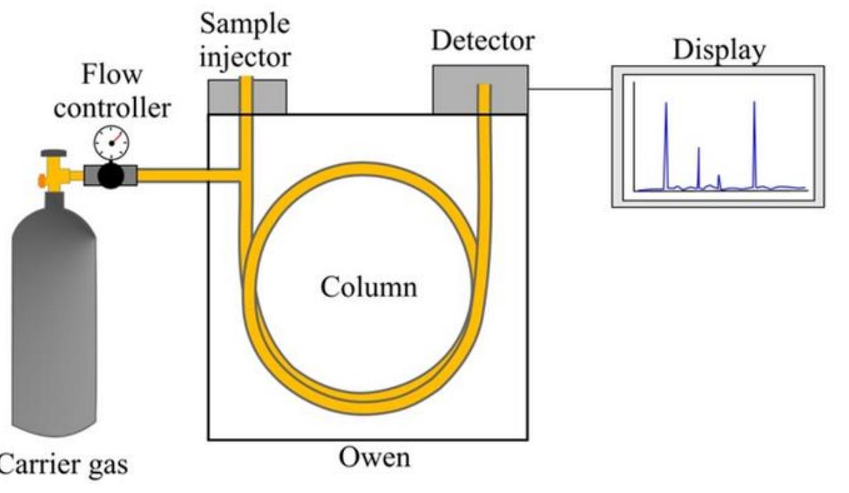Schematic diagram of gas chromatography