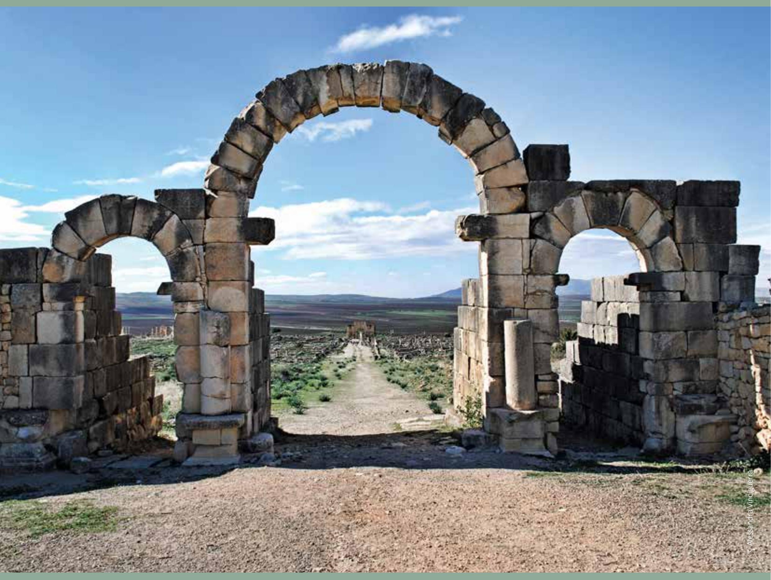 Figure 2 - Do Shelters Really Protect the Mosaics at