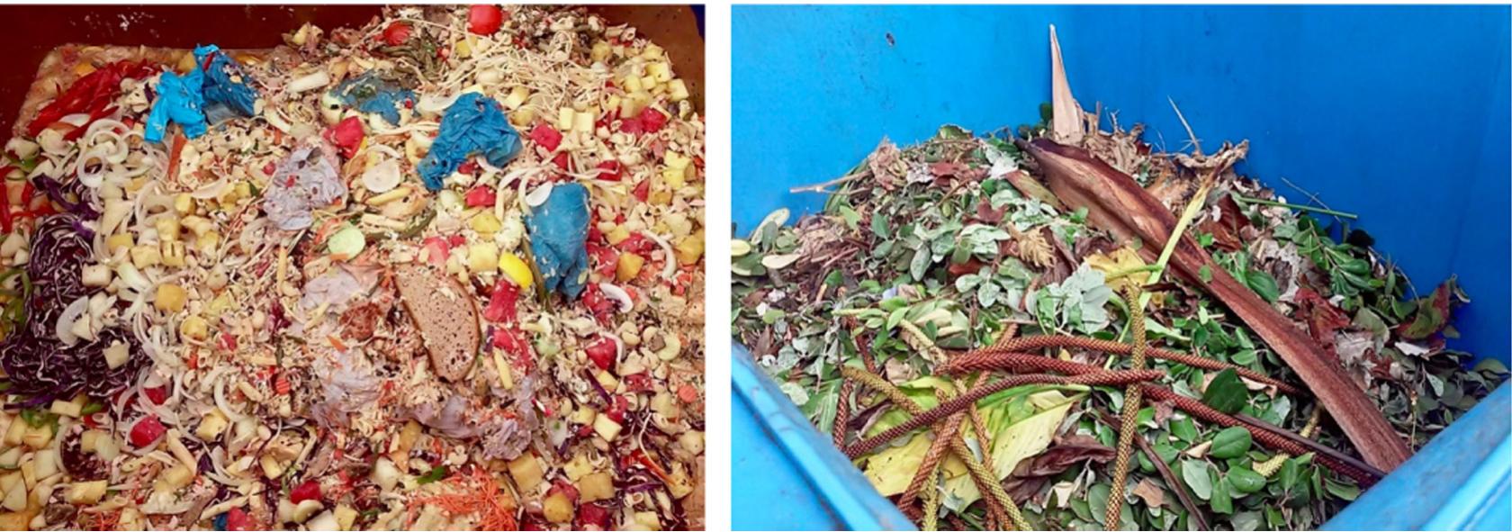 FIGURE 13.9 Left, detail of the food waste collected in the kitchens and restaurants in the hotel, where it can be seen that the nonorganic materials are very low. Right, detail of the green waste from the hotel. 