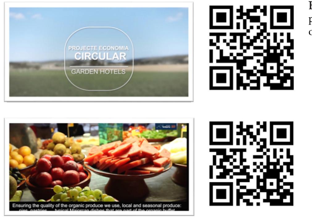 er © ne  During the time that this project has been developed, it has received several prizes and awards. Some, such as the Balearic Government Awards for the best sustainable tourism initiative and the Re-Think Hotels Award for the Best Sustainability and Hotel Rehabilitation Projects. In 2019 Garden Hotels received the InnoBankia Award for the “Best Sustainable Company” for its organic matter composting and circular economy project.  La a: a ee: Ce Be Or Ry i En (ee De a; a a, ae: Ce: i a: a... 