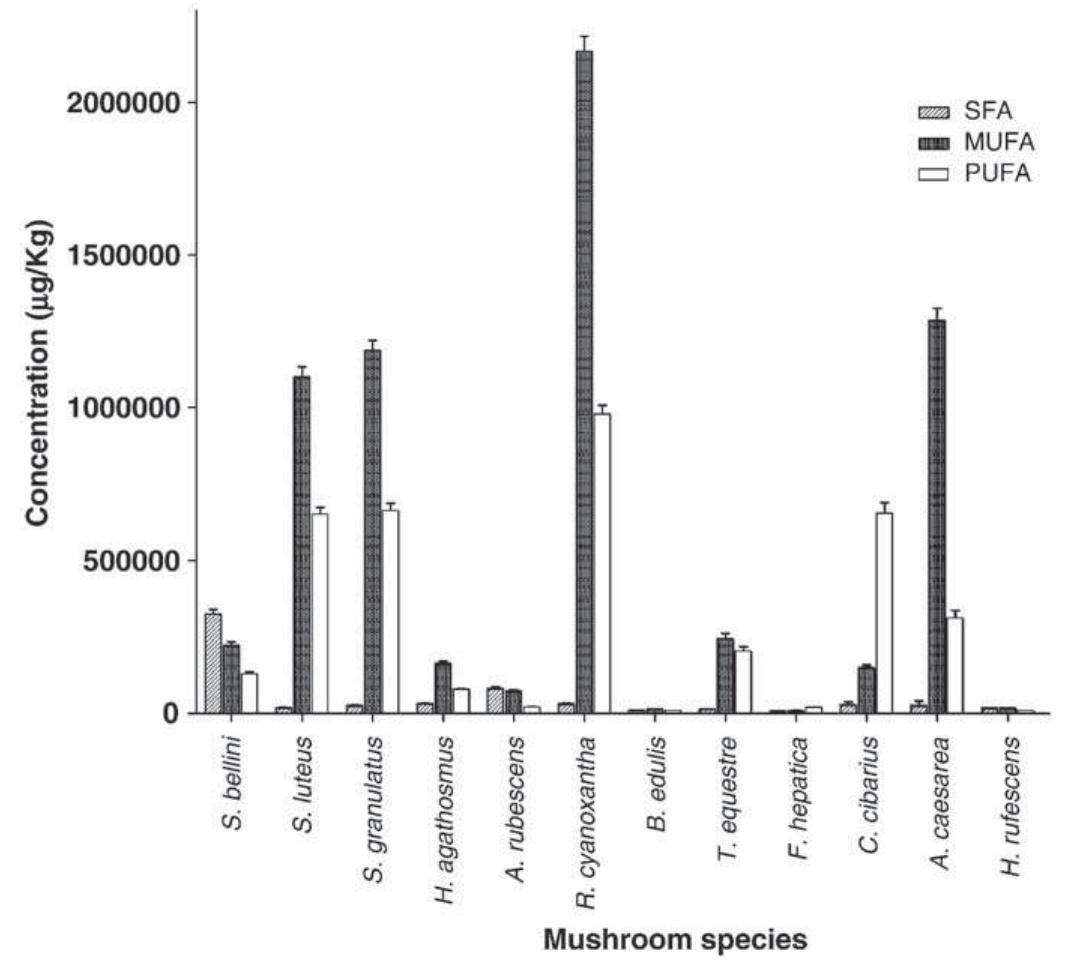 (PDF) Fatty acid composition of wild edible mushrooms species: A ...