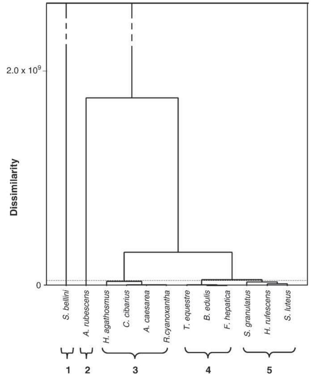 (PDF) Fatty acid composition of wild edible mushrooms species: A ...