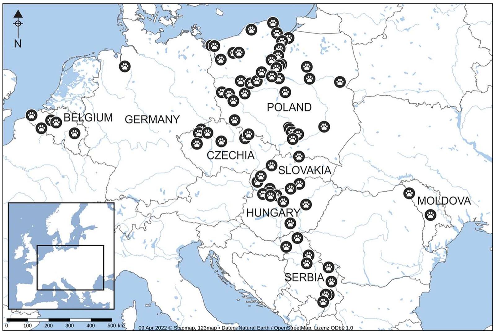 Figure 3. Locations of archaeological and palaeontological sites from which cat remains have been collected for project (figure by M.T. Krajcarz, using the base map generated in StepMap (https:www.stepmap.com/)). 