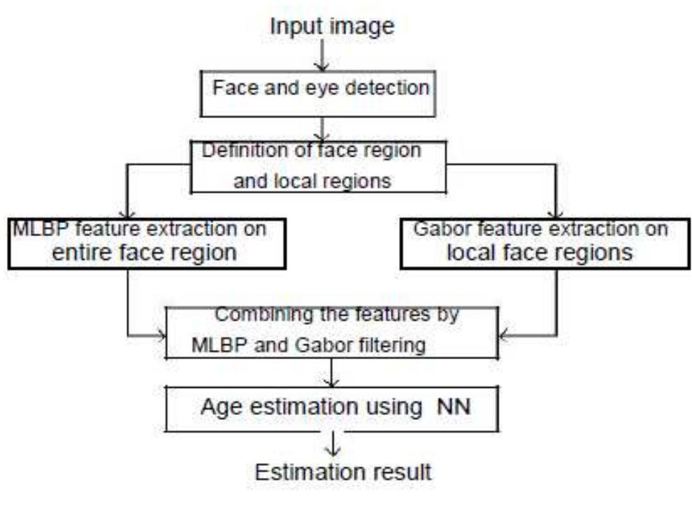 Figure 7 - from Automatic Human Age Estimation System for