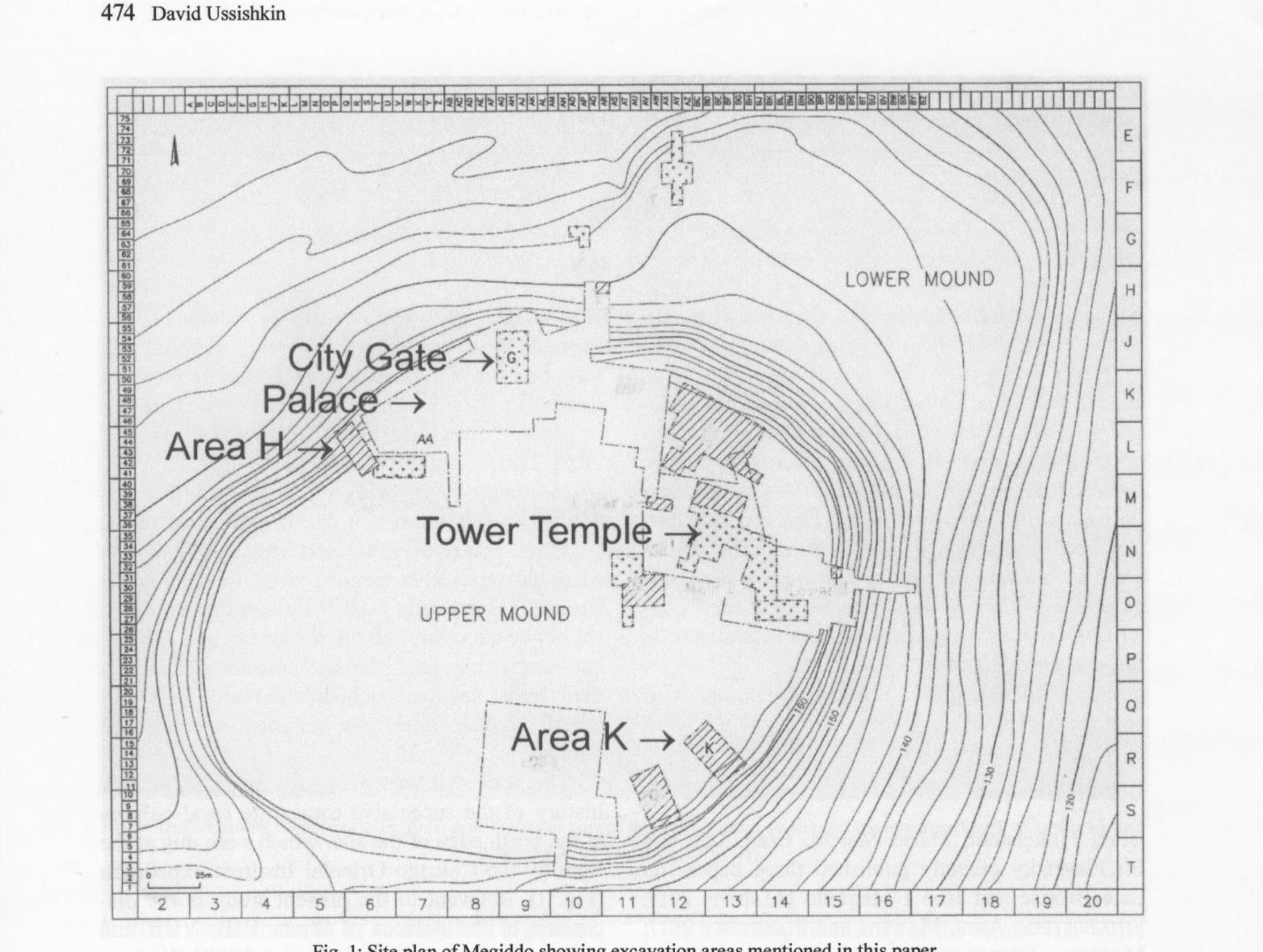 of earlier strata, to dig three deep trenches, each 50-70 m long, 6 m wide, and a few meters deep, in three different parts of the mound’s summit, which “seemed most likely to have been the more favored ancient building sites” (Loup 1948, 1) The northern trench cut into the Canaanite palace (Fig. 2) and was then widened as Area AA. Even- tually the entire palace, in all its stages, except fot its southern wing, was uncovered here. Following the excavation, the palace — one of the most promi- nent Canaanite monumental edifices ever uncov- ered in the southern Levant — was demolished in its entirety to enable the excavation of the underly- ing strata. Today, only parts of the eastern exterior wall of the palace still stand. 