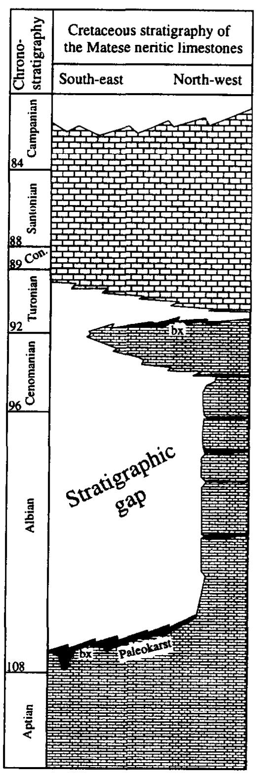 (PDF) Facies analysis of an Upper Cretaceous high-energy rudist ...