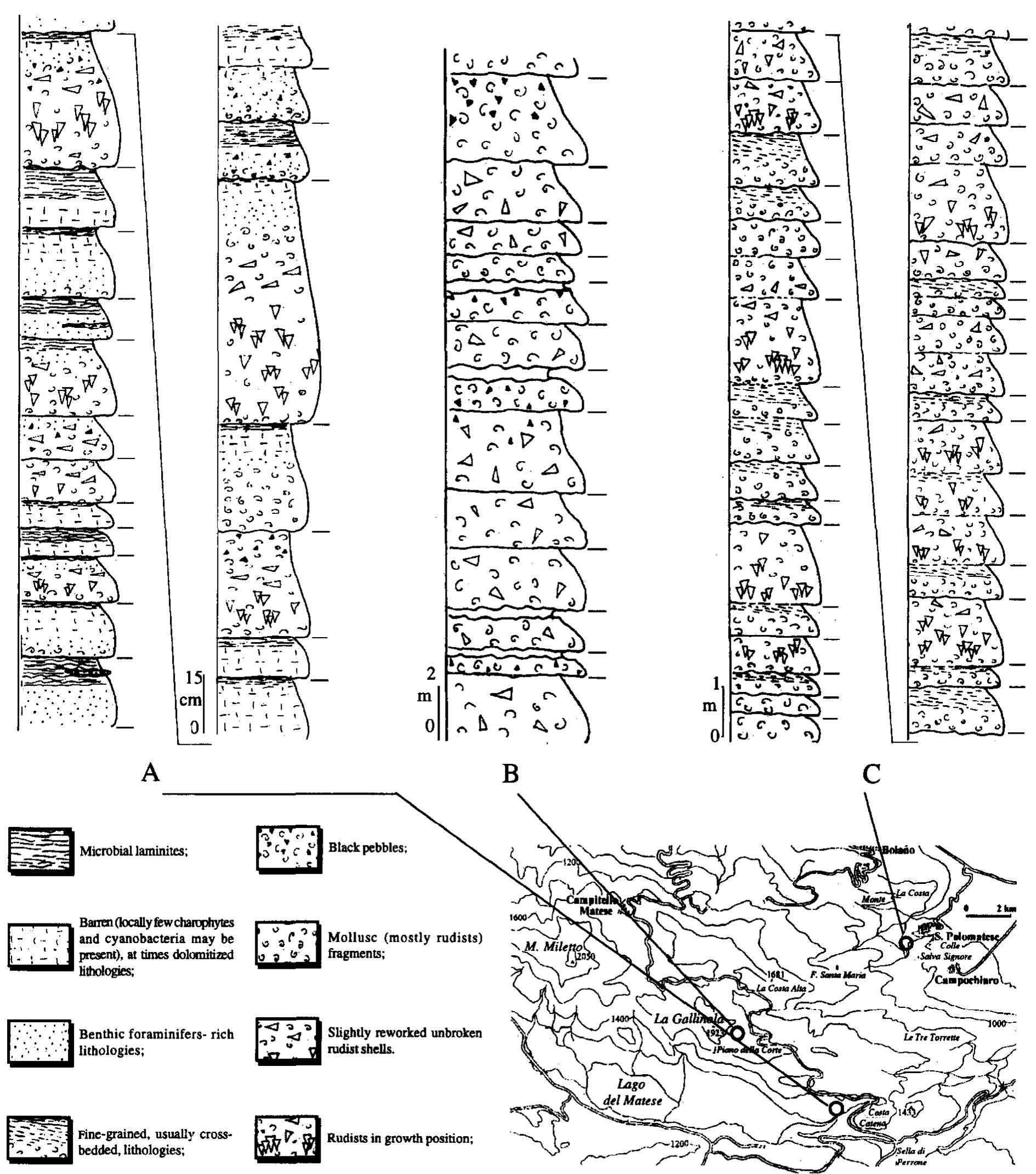 (PDF) Facies analysis of an Upper Cretaceous high-energy rudist ...
