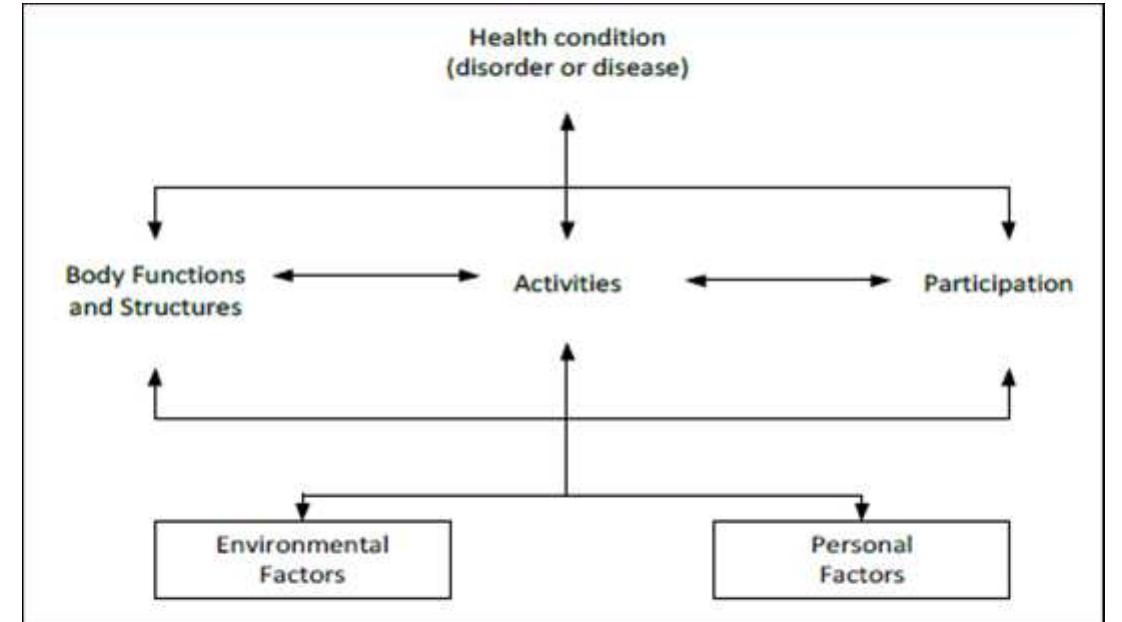 Icf as a classification of the components of health (who,