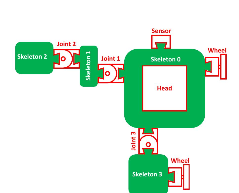 Fig. 7: A conceptual layout for for skeleton and organs might be combined to form a robot. The “skeleton 0” is connected directly to the head, with other skeleton parts attached the other side of joints. Because the skeleton includes the male side of the clip and the organs the female, they must be connected in a tree structure, alternating between skeleton and organ. 