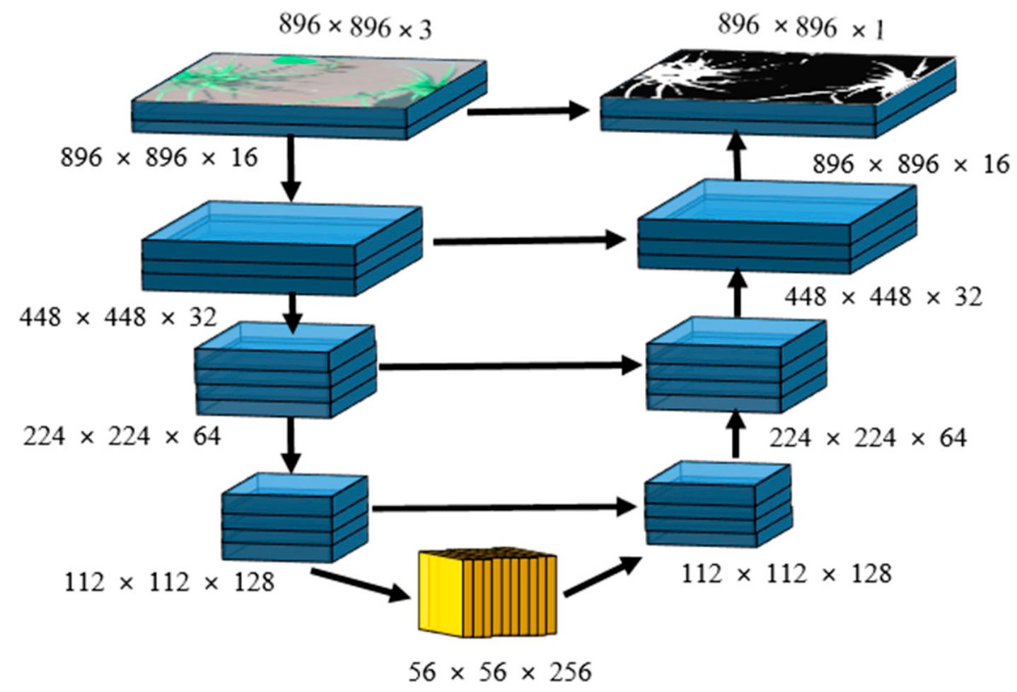(PDF) CED-Net: Crops and Weeds Segmentation for Smart Farming Using a ...