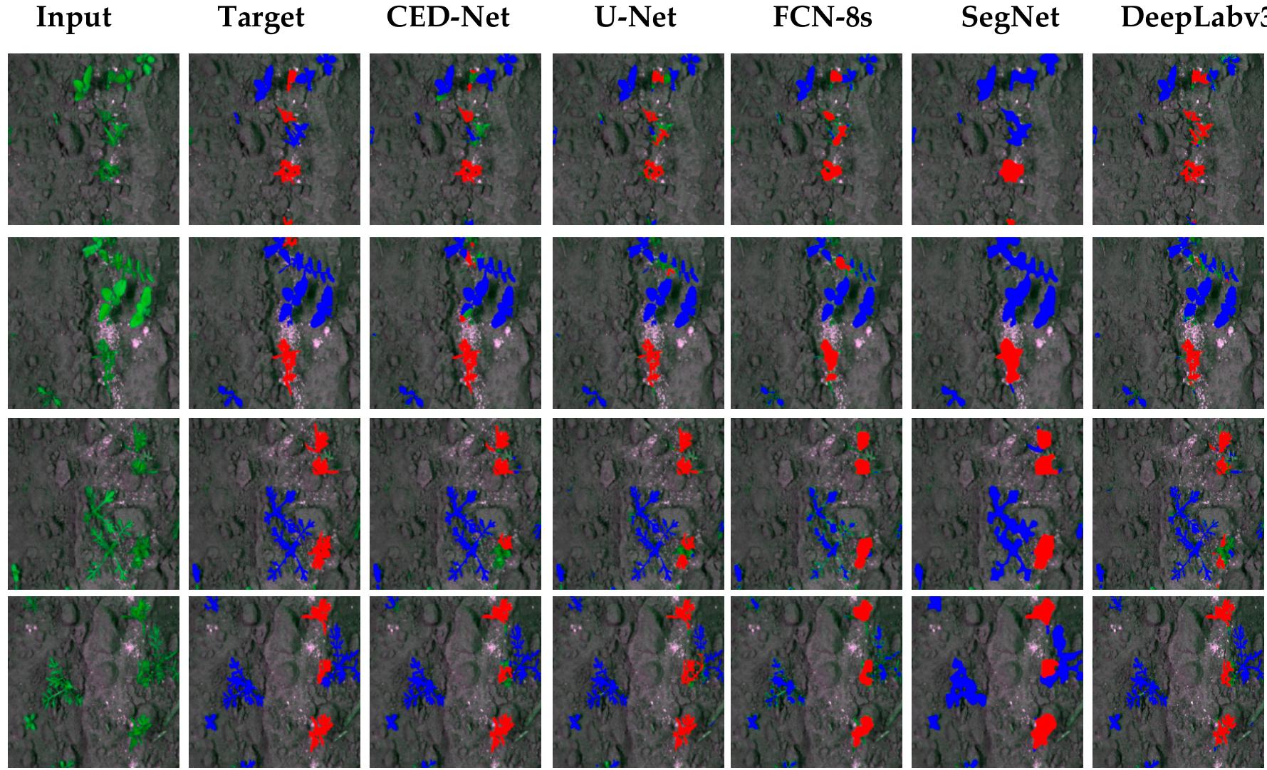 (PDF) CED-Net: Crops and Weeds Segmentation for Smart Farming Using a ...
