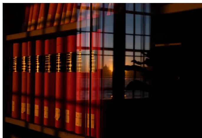 Detail of the library of the Centre for Comparative Studies of Civilisations and Spiritualities, Fondazione Giorgio Cini, Venezia. Photograph © Francesco Piraino, December 2019. 