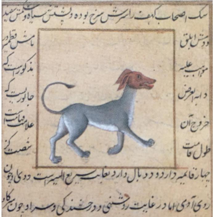 Fig, 3. Majma‘ al-ghara’tb. Mahammad al-Mufti, f. 64 v°. in L’Etrange et le merveilleux en terre dislam, 57.  Fig. 4. The five companions and their dog sitting in front of Jesus/Isa. Tarjama-i miftah jifr al-jami‘, in M. Anc Mimyatiirlerler Osmant-Islim Mitologiyast, 234-5. 