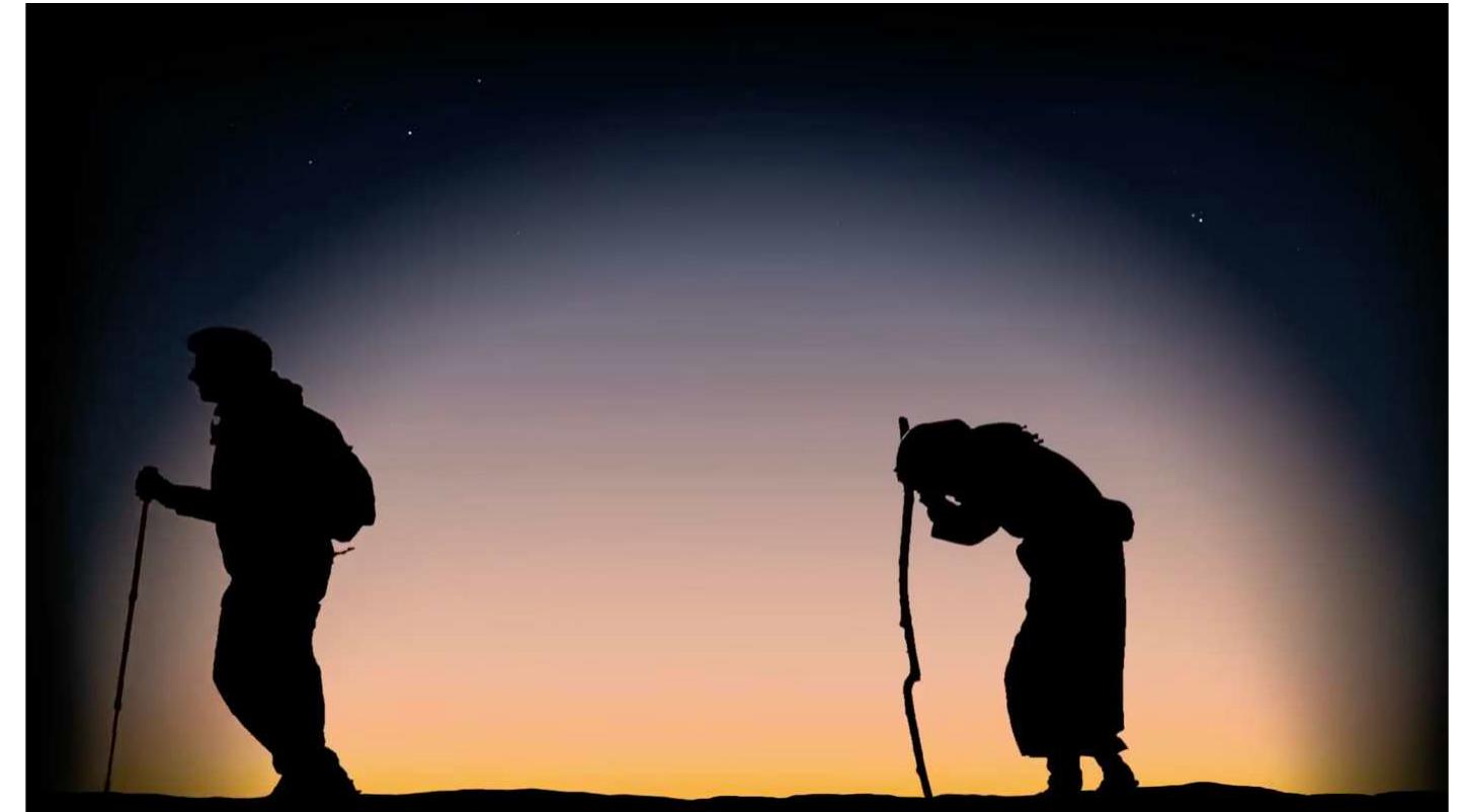 Fig. 17. The Pilgrims, video-installation, Mucem, 2015, 3 min 20. Graphic design by Gilda Sergé, L’ceil Graphique, Marseille. Sound creation realised in the framework of an educational partnership with the SATIS Department (Sciences Arts et’ Technologies de image et du Son) and the laboratory ASTRAM (Arts Sciences Technologies pour la Recherche Audiovisuelle Multimédia ), Aix-Marseille University. https://youtu.be/LcNzgqPvGelM.  