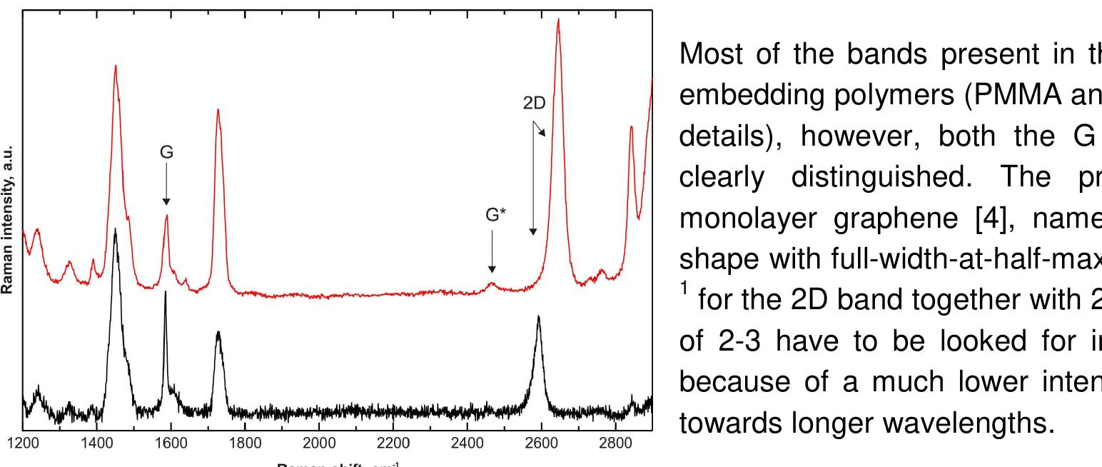 Raman spectra of a monolayer graphene flake excited by 633