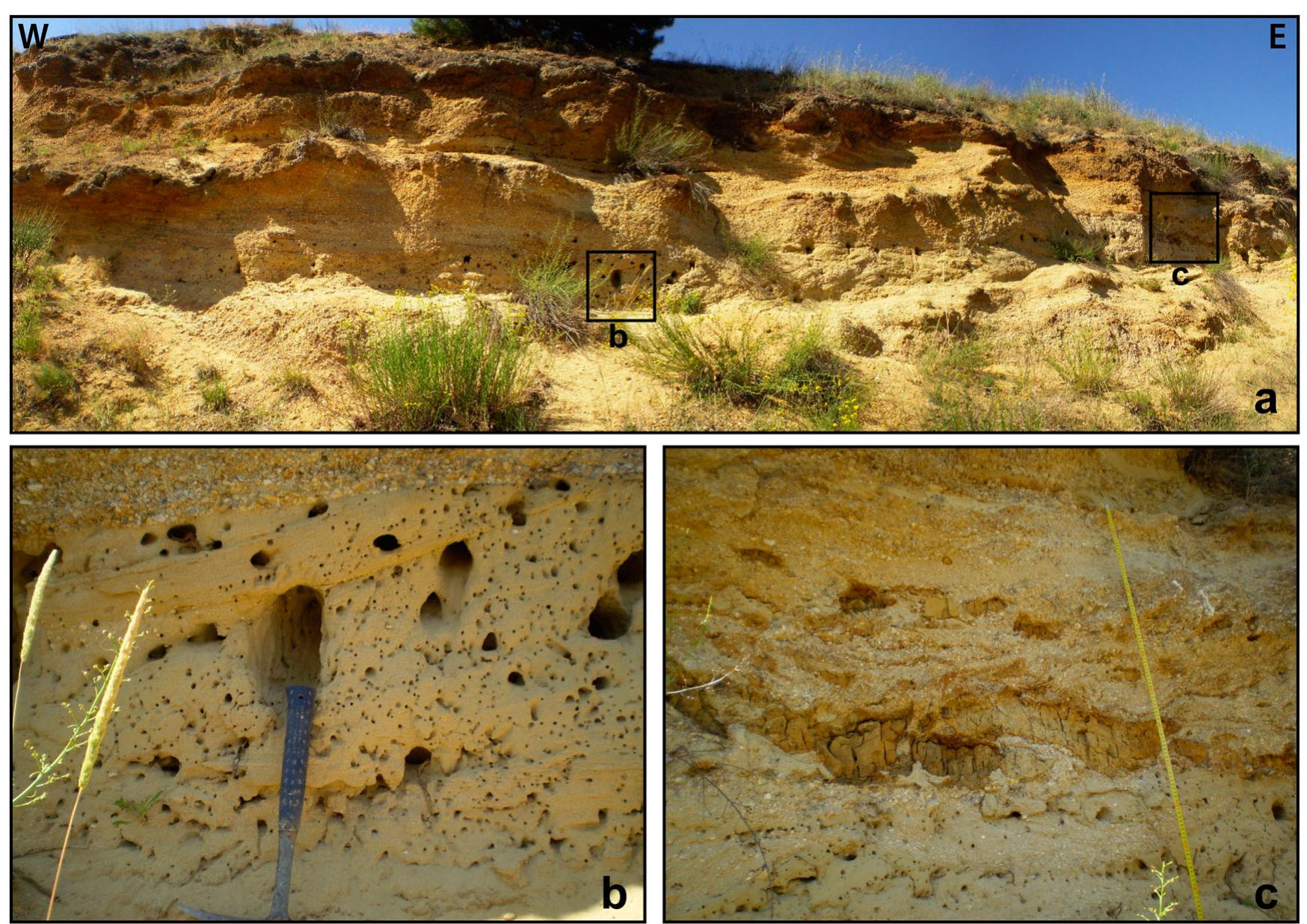 Quarry Infil Plio-quaternary stratigraphy of the pscb according to