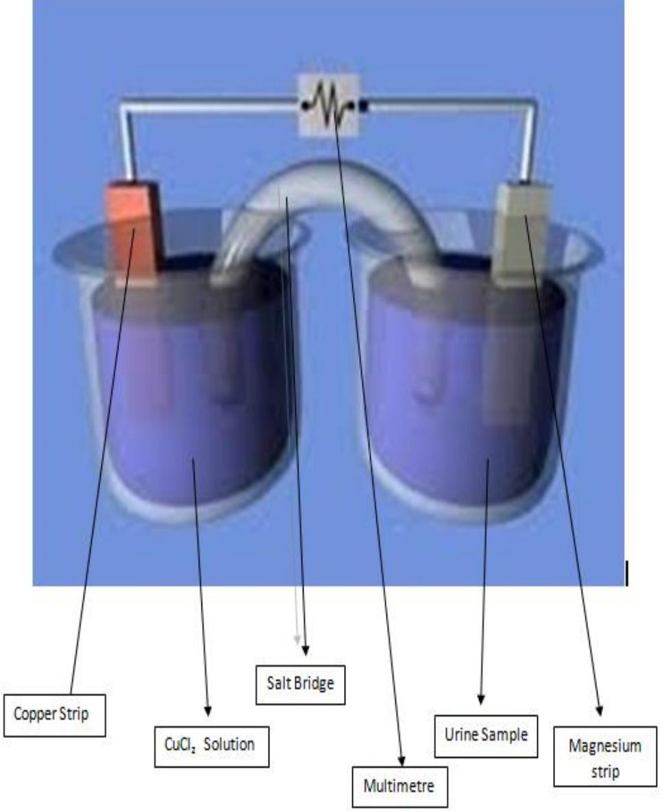 (PDF) Urine Powered Battery and It’s Utilization with Experimental Study