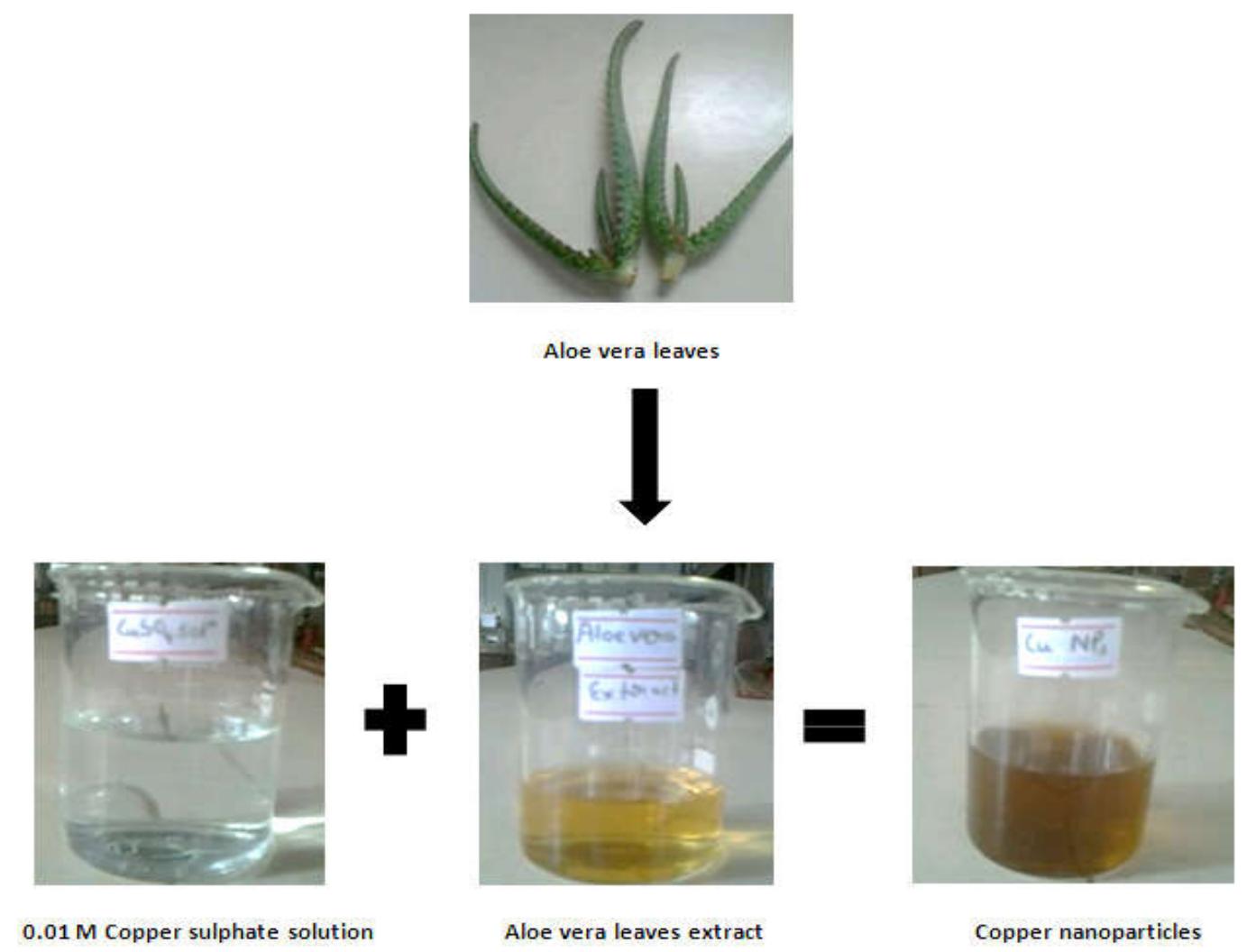 (PDF) Review Article Green Synthesis of Copper Nanoparticles Using Aloe ...