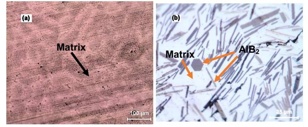 (PDF) Corrosion Behavior of in-Situ AlB2/Al-Cu Metal Matrix Composite