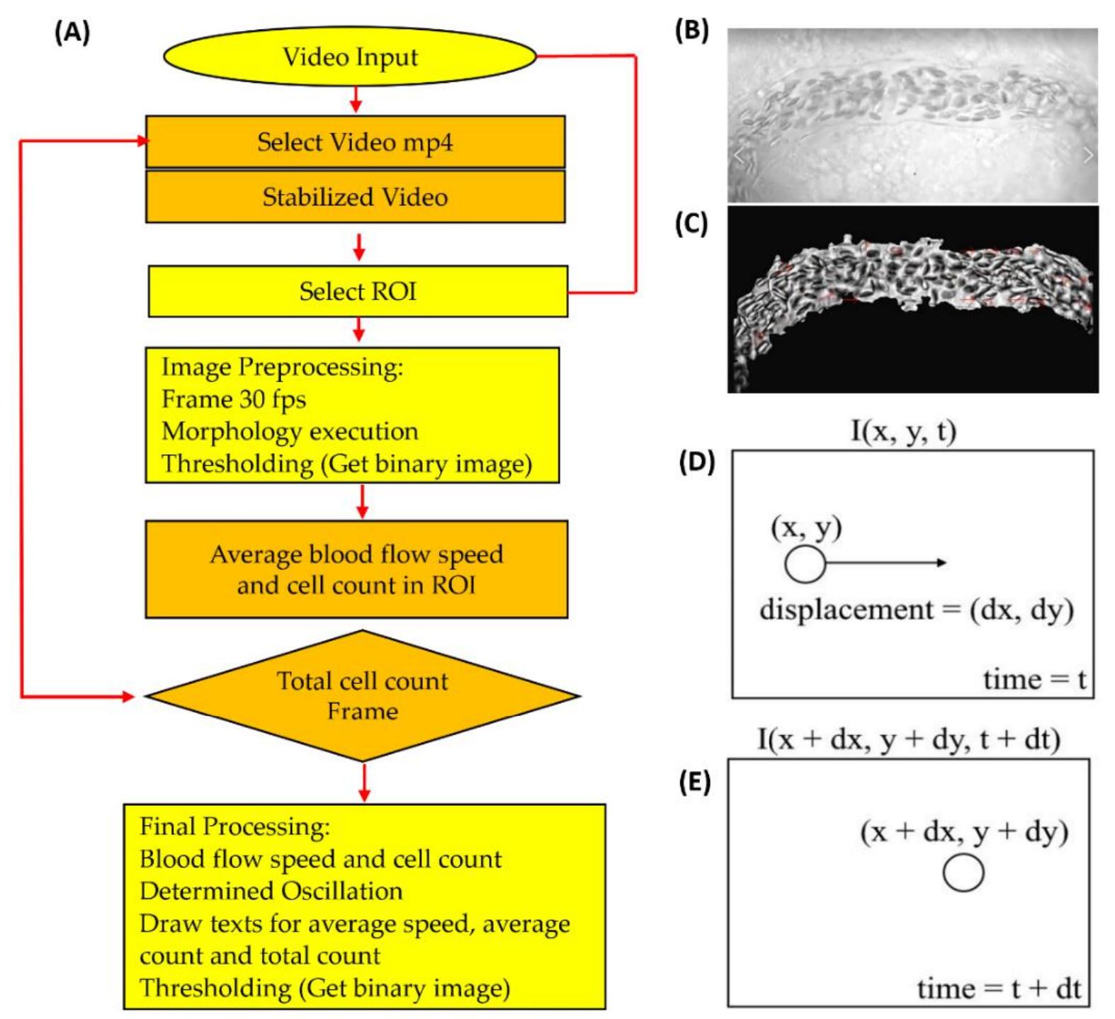 (PDF) OpenBloodFlow: A User-Friendly OpenCV-Based Software Package for ...