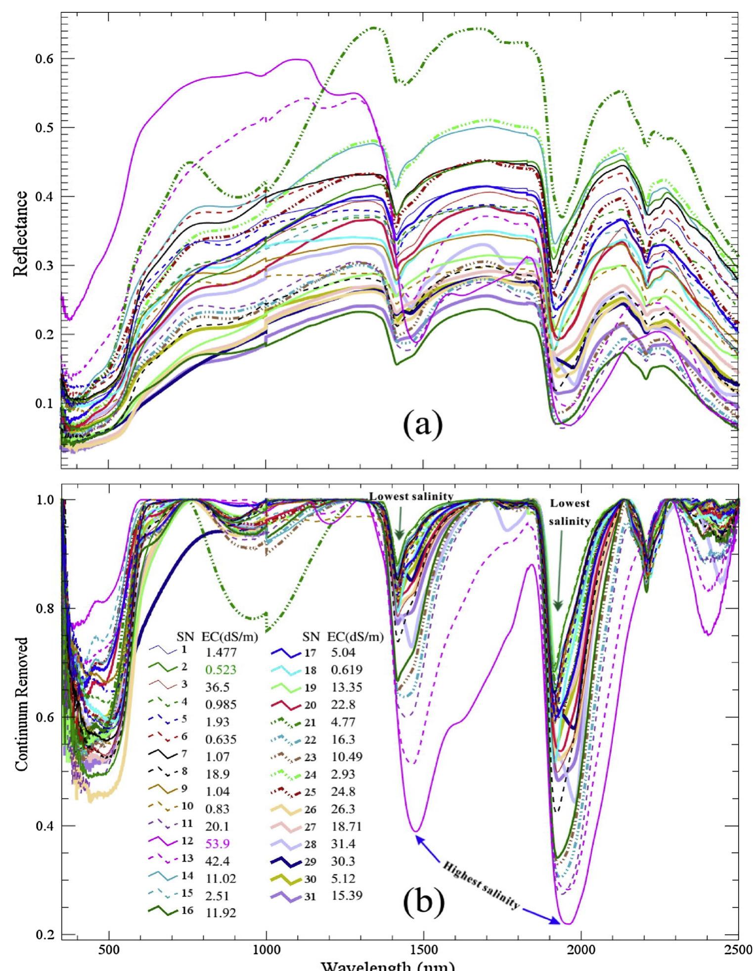Original reflectance spectra of all 31 soil samples (a) and