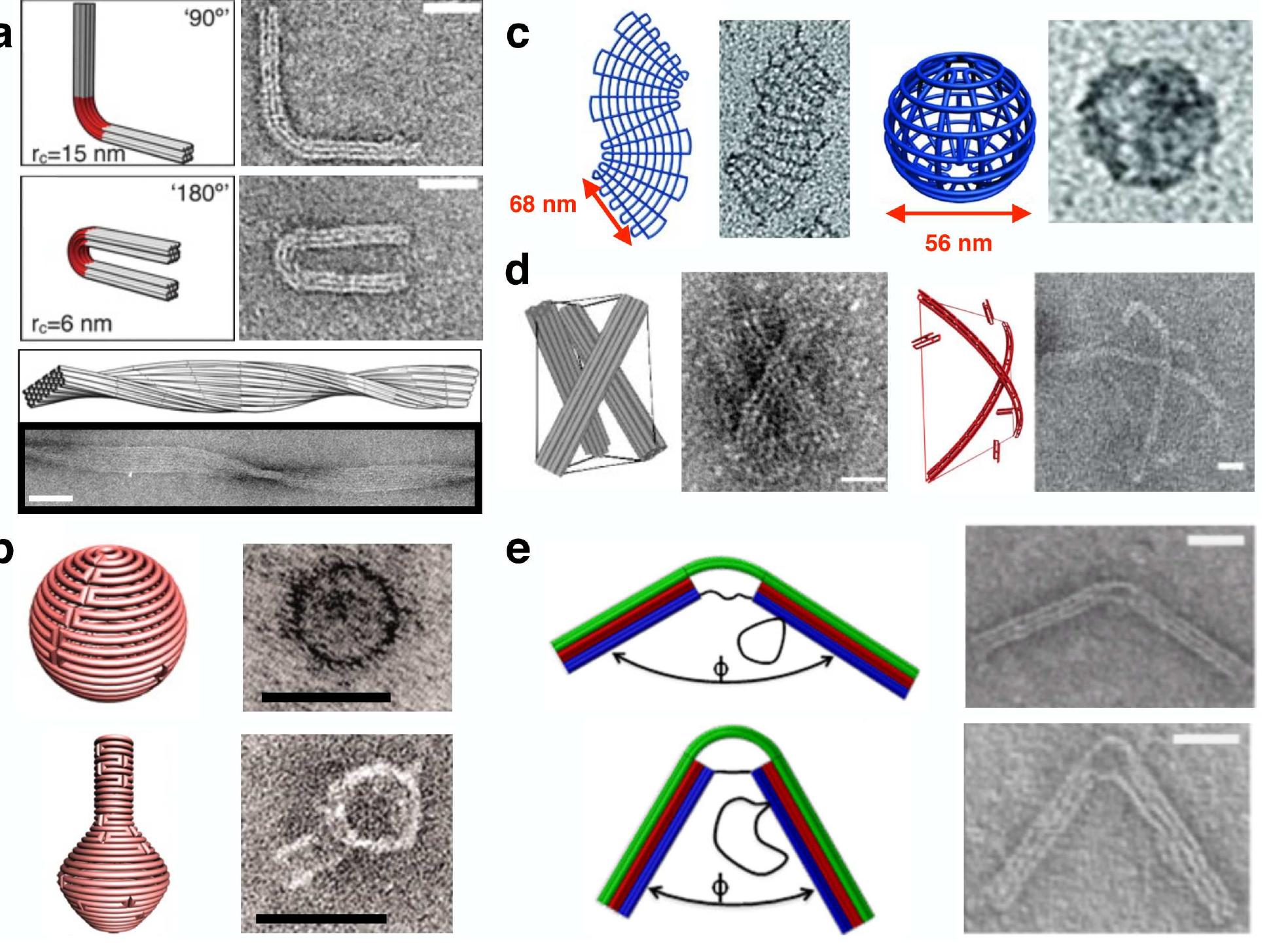 (PDF) Mechanical design of DNA nanostructures