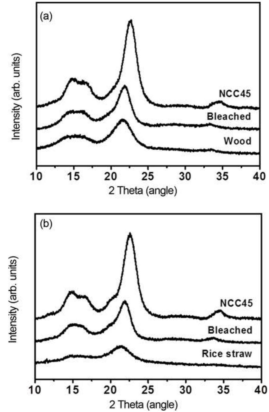 (PDF) Isolation and characterization of nanocrystalline cellulose from ...