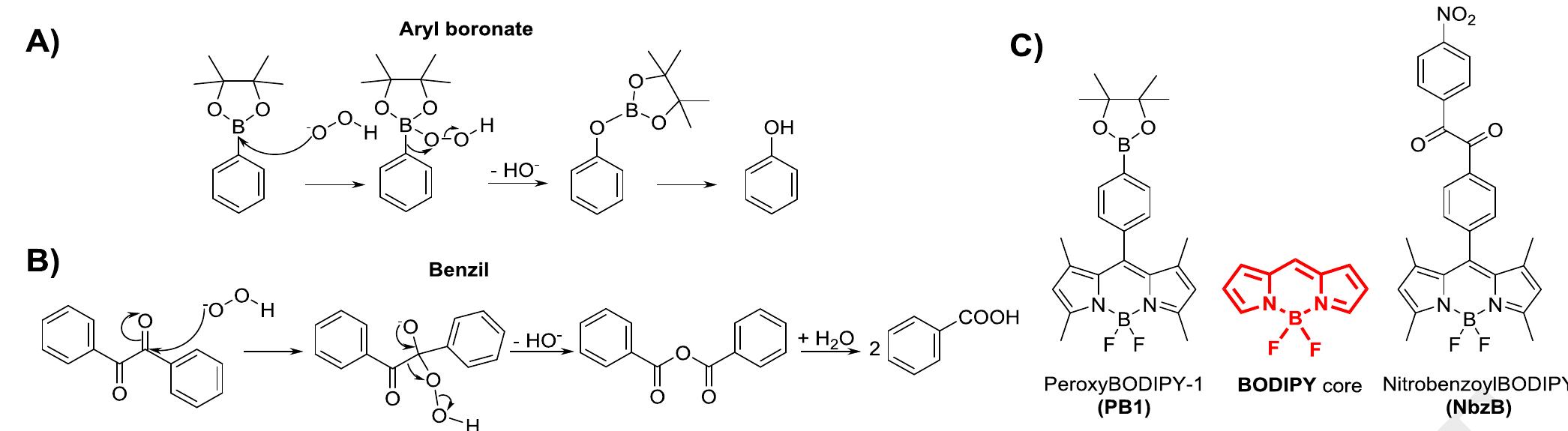 H2o2 Fluorescent Sensing (PDF) Biological hydrogen peroxide detection with aryl boronate and ...