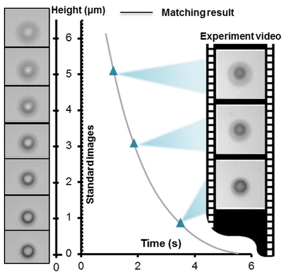 The matching process of the standard images with the
