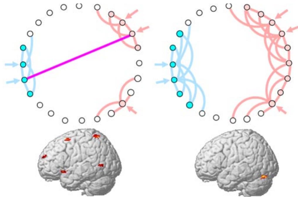 (PDF) Autism and Abnormal Development of Brain Connectivity