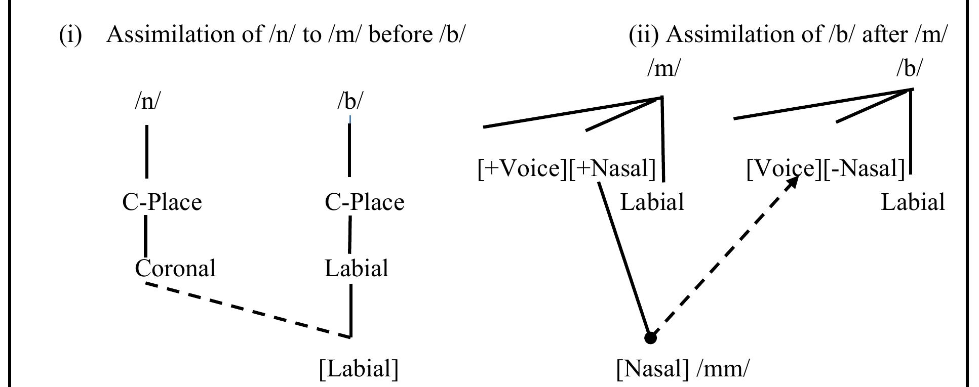 (PDF) NASALISATION AND NASAL ASSIMILATION IN AKAN