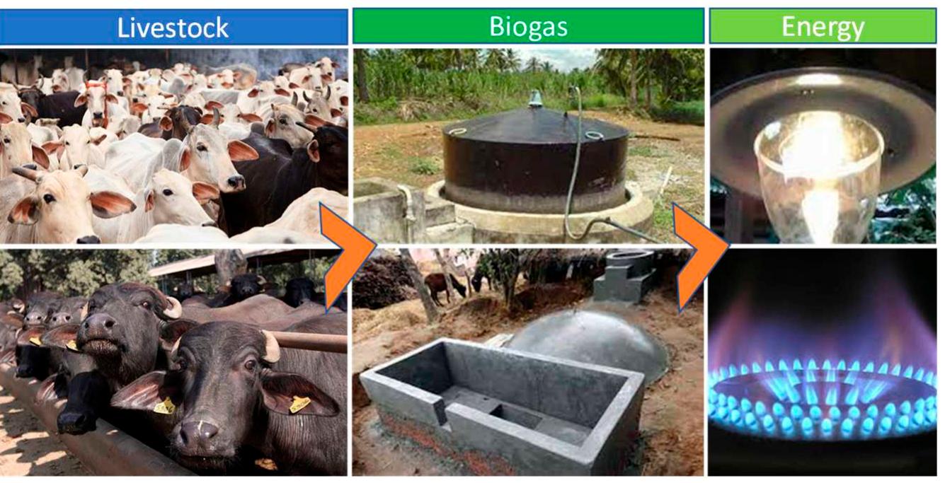 (PDF) Dairy Waste and Potential of Small-Scale Biogas Digester for ...