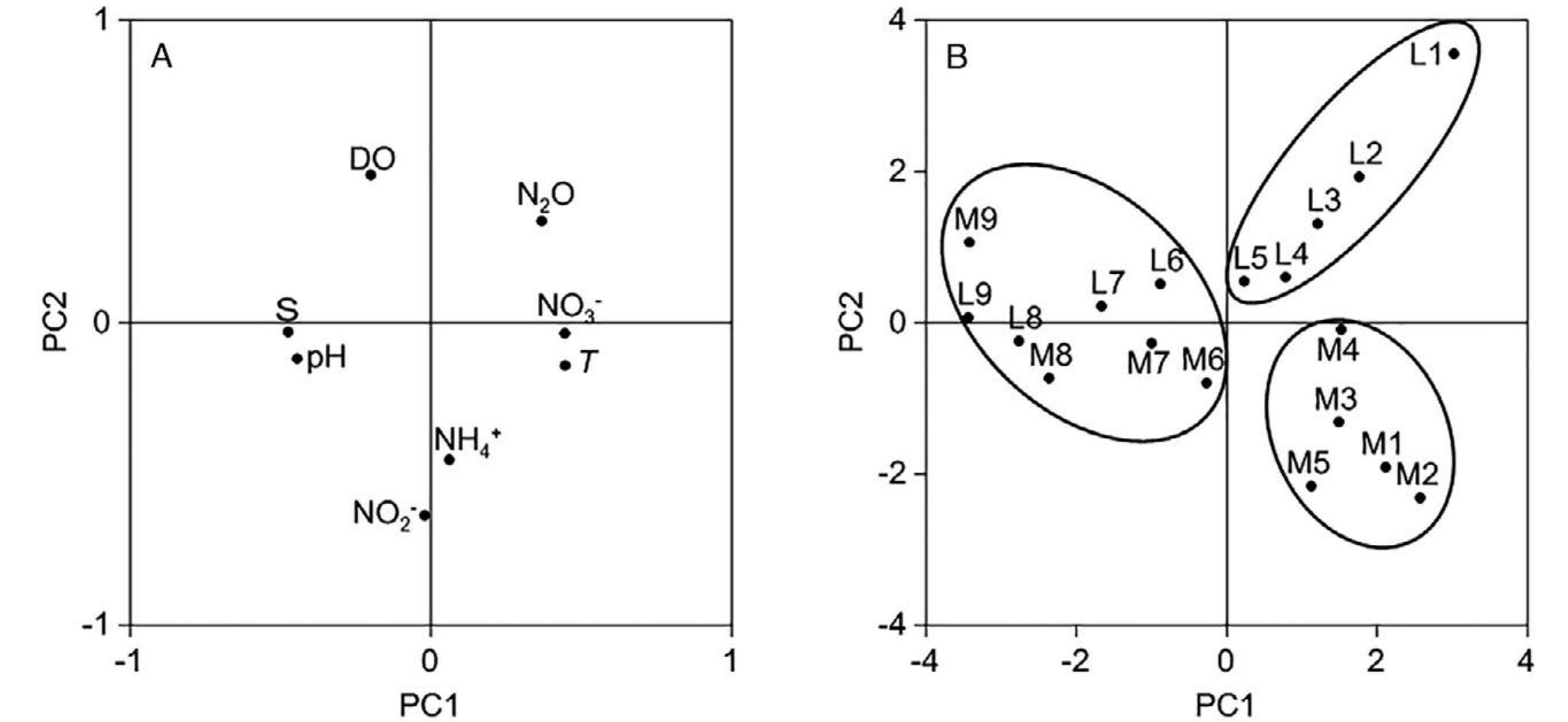 (PDF) Spatial variability of nitrous oxide in the Minho and Lima ...