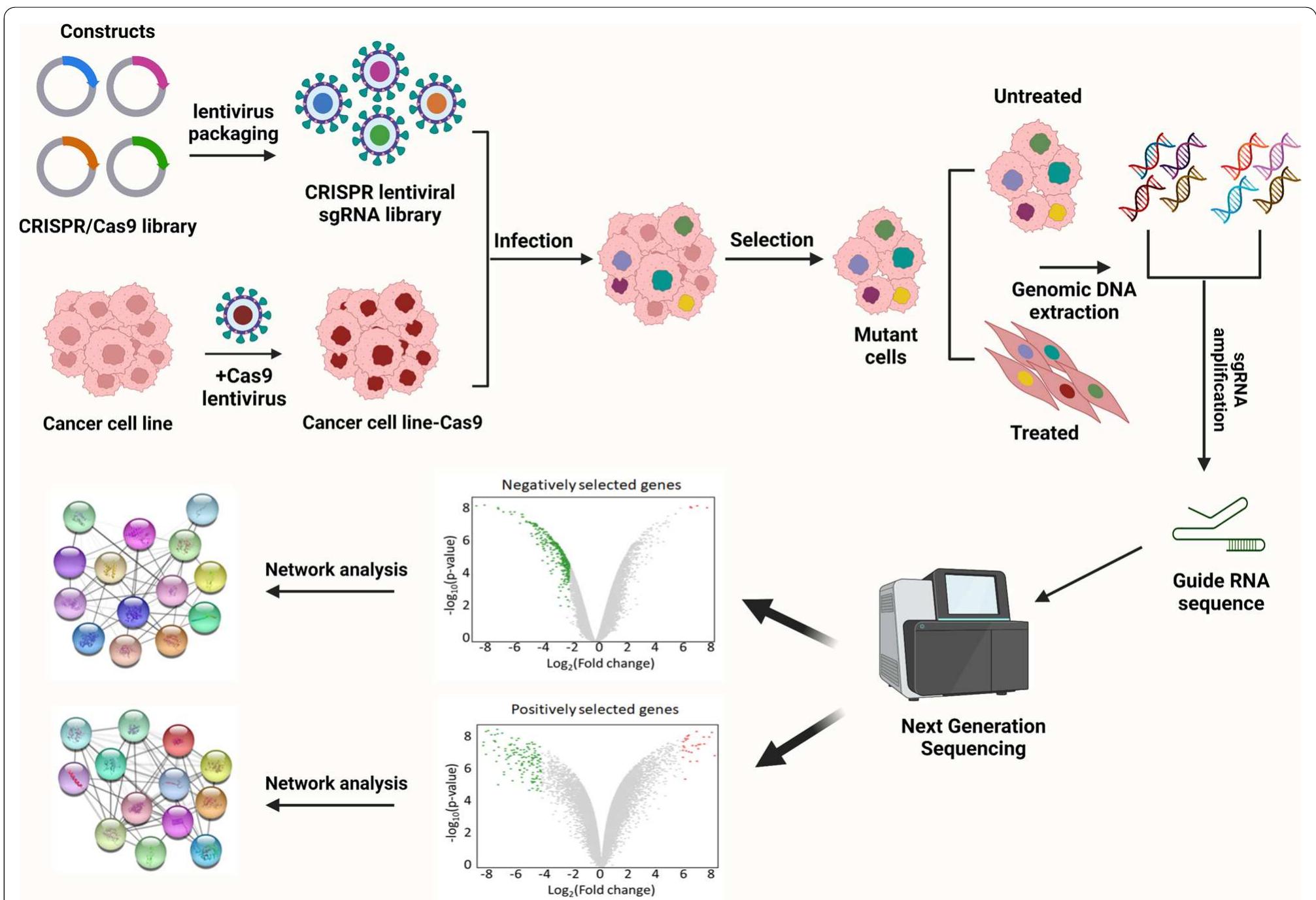 (PDF) Integration of CRISPR/Cas9 with artificial intelligence for ...
