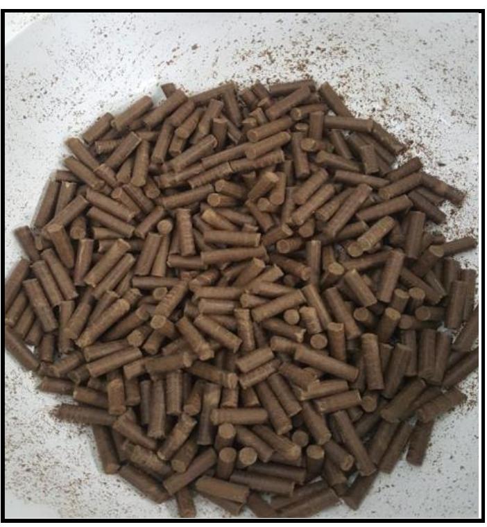 (PDF) Rice Husk Fuel Pellet: Characterization on Physical and ...