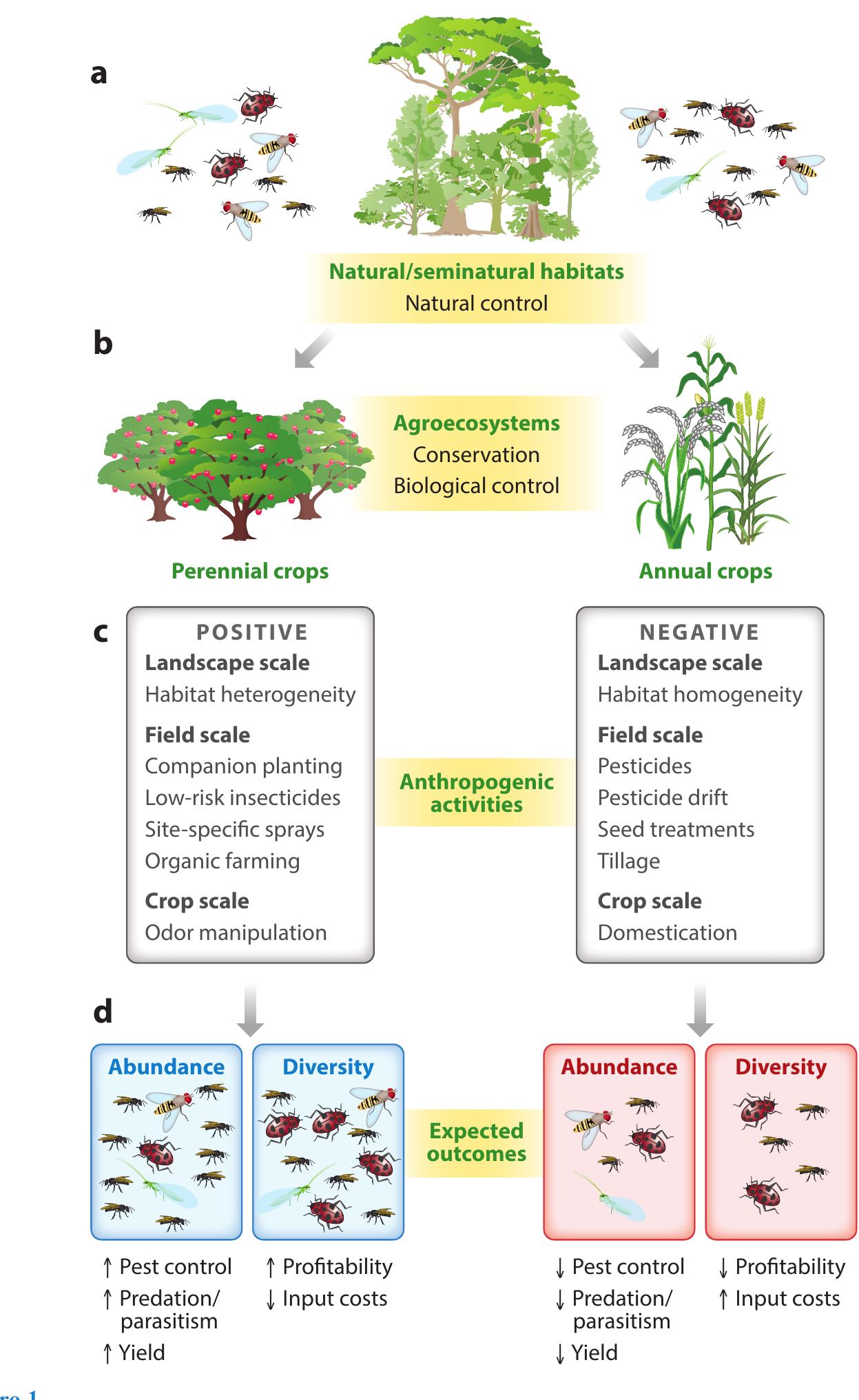 (PDF) Balancing Disturbance and Conservation in Agroecosystems to ...
