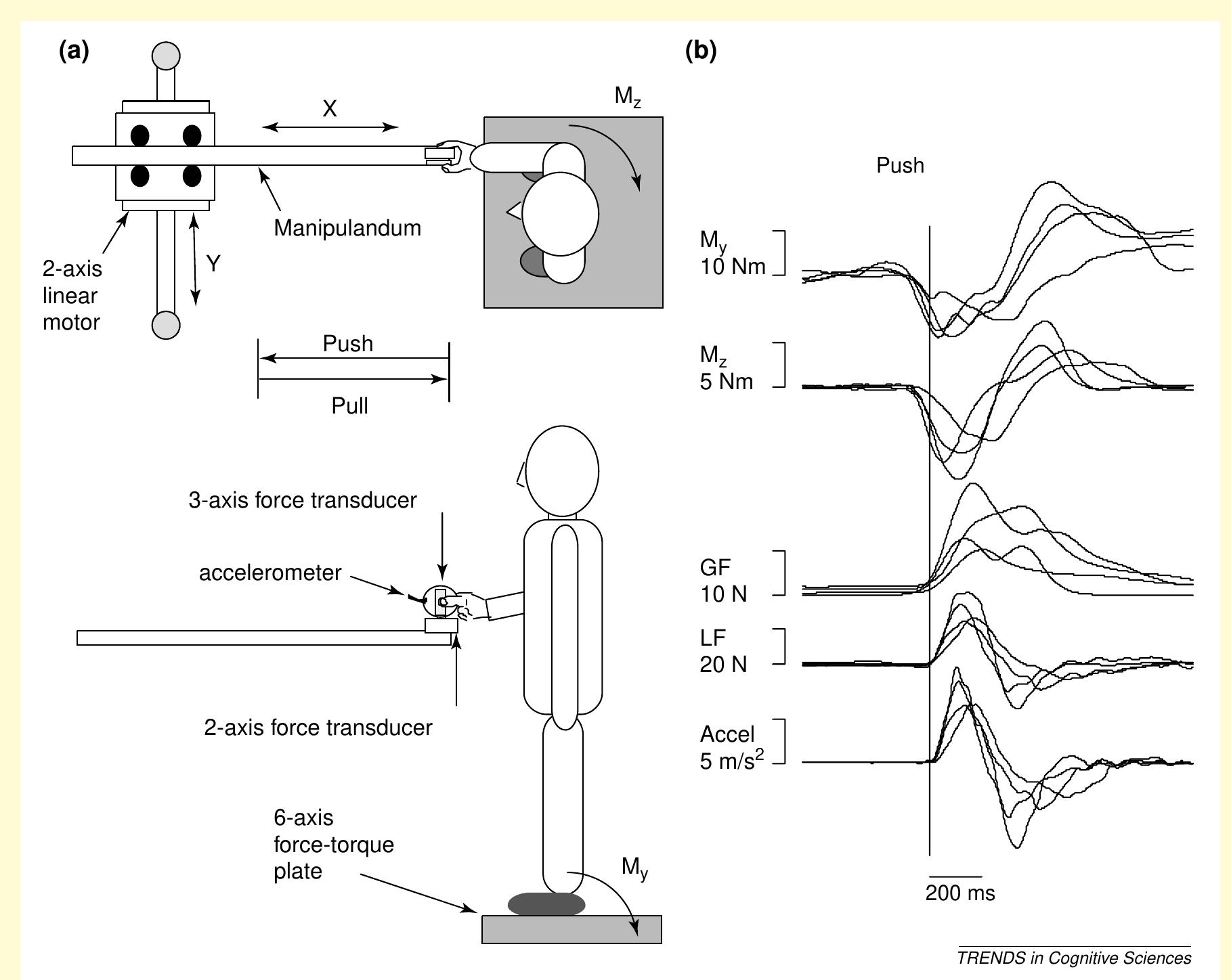Standing Balance Classification (PDF) The dynamics of standing balance