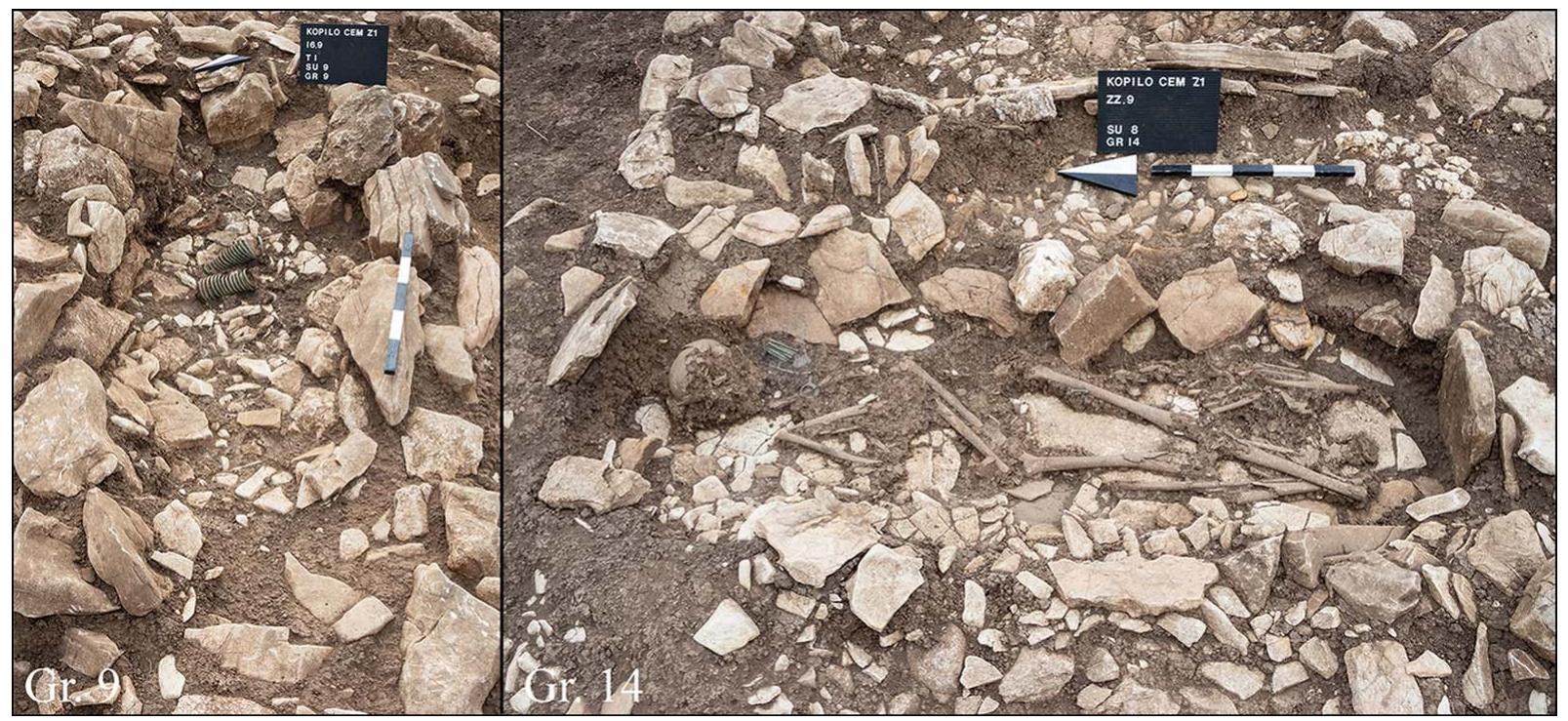 oppositely oriented individuals (Figure 5B), one triple burial (an adult, a child and a new- born) and graves with selected, disarticulated elements (e.g. a child skull in Gr. 2) are all sug- gestive of complex rituals that, among others, include secondary burials, the reopening of the graves, subsequent interments directly above the existing grave (with a new layer of stone plates) and manipulation of decomposed bodies within the graves. 