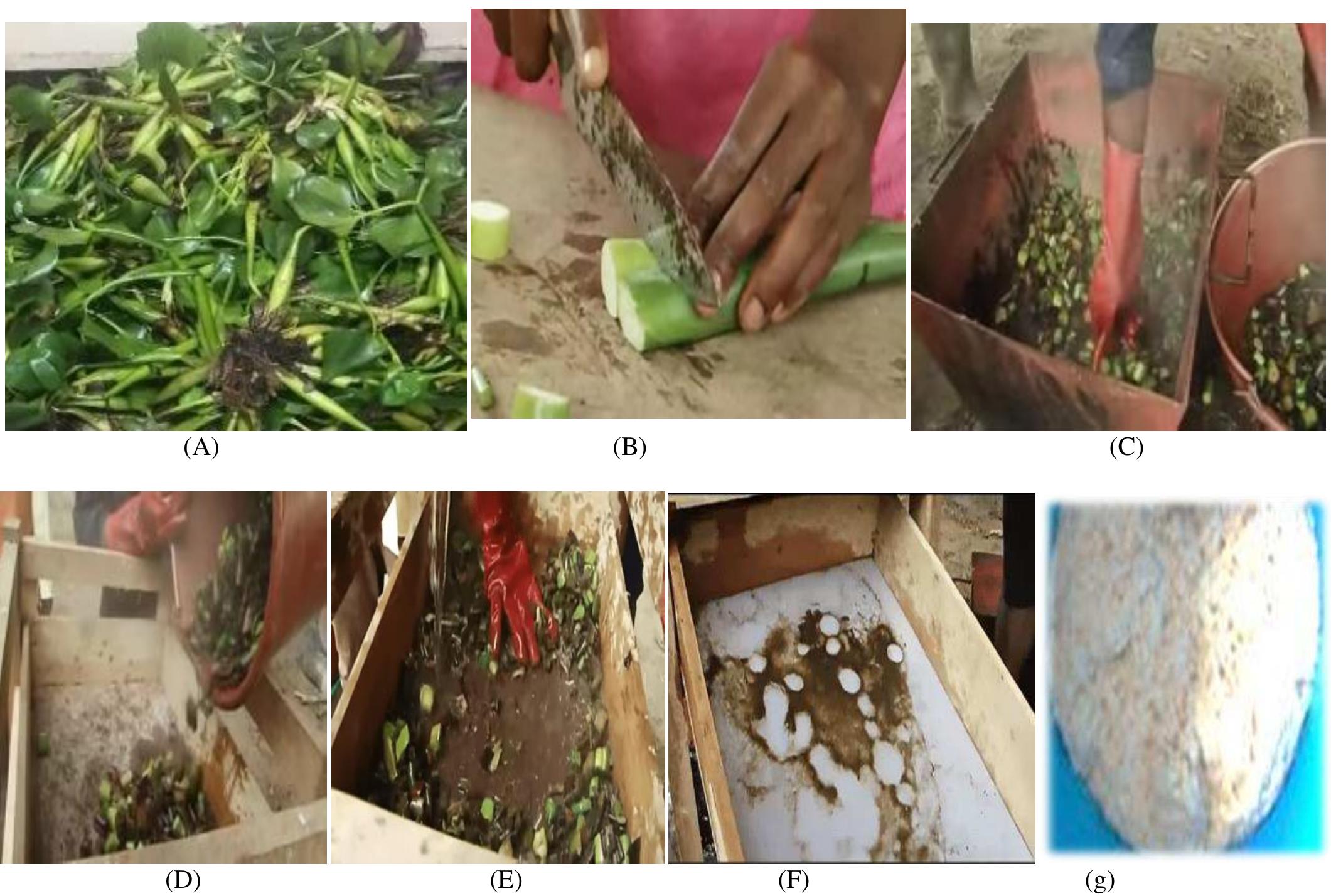 Process Wh (PDF) Extraction and Formulation of a Paper from the Cellulose ...
