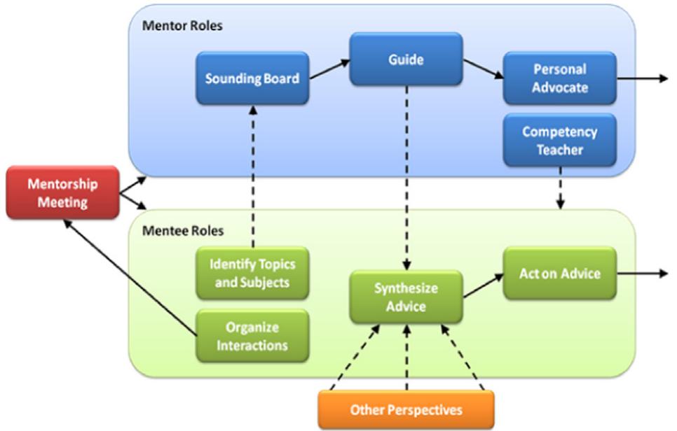 Figure 1 - from Perspective on a formal mentorship program