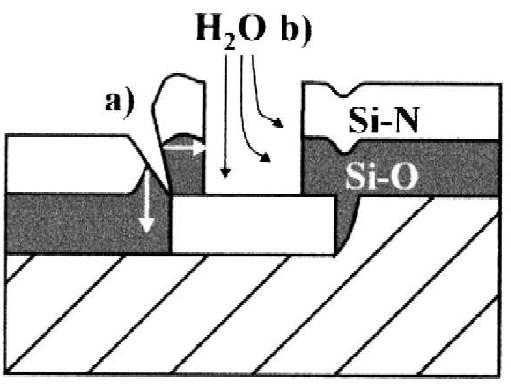 (PDF) Optimization of passivation layers for corrosion protection of ...