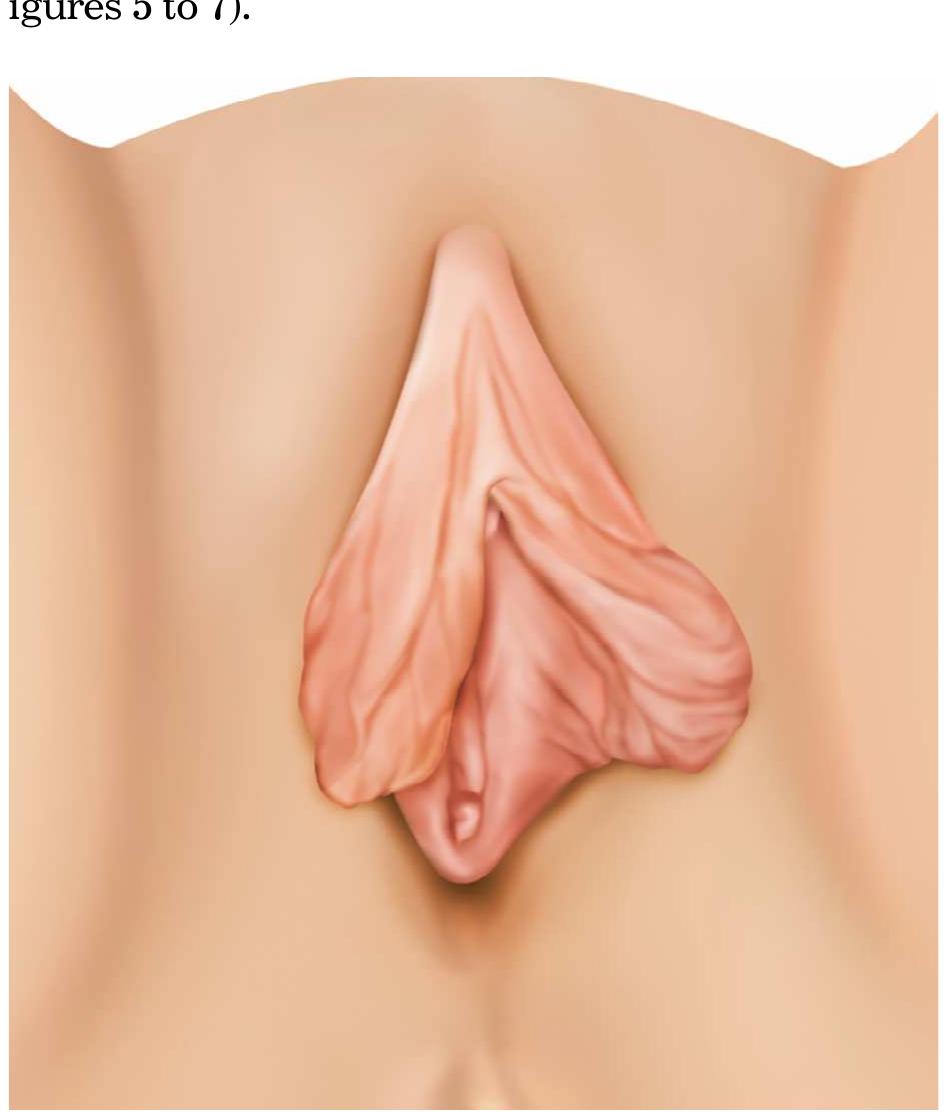 Fransuz ayol bilan onlayn jinsiy aloqa video