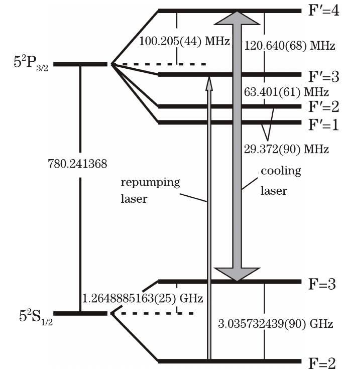 (PDF) Laser cooling of rubidium 85 atoms in integrating sphere