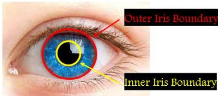 (PDF) Enhance iris segmentation method for person recognition based on ...