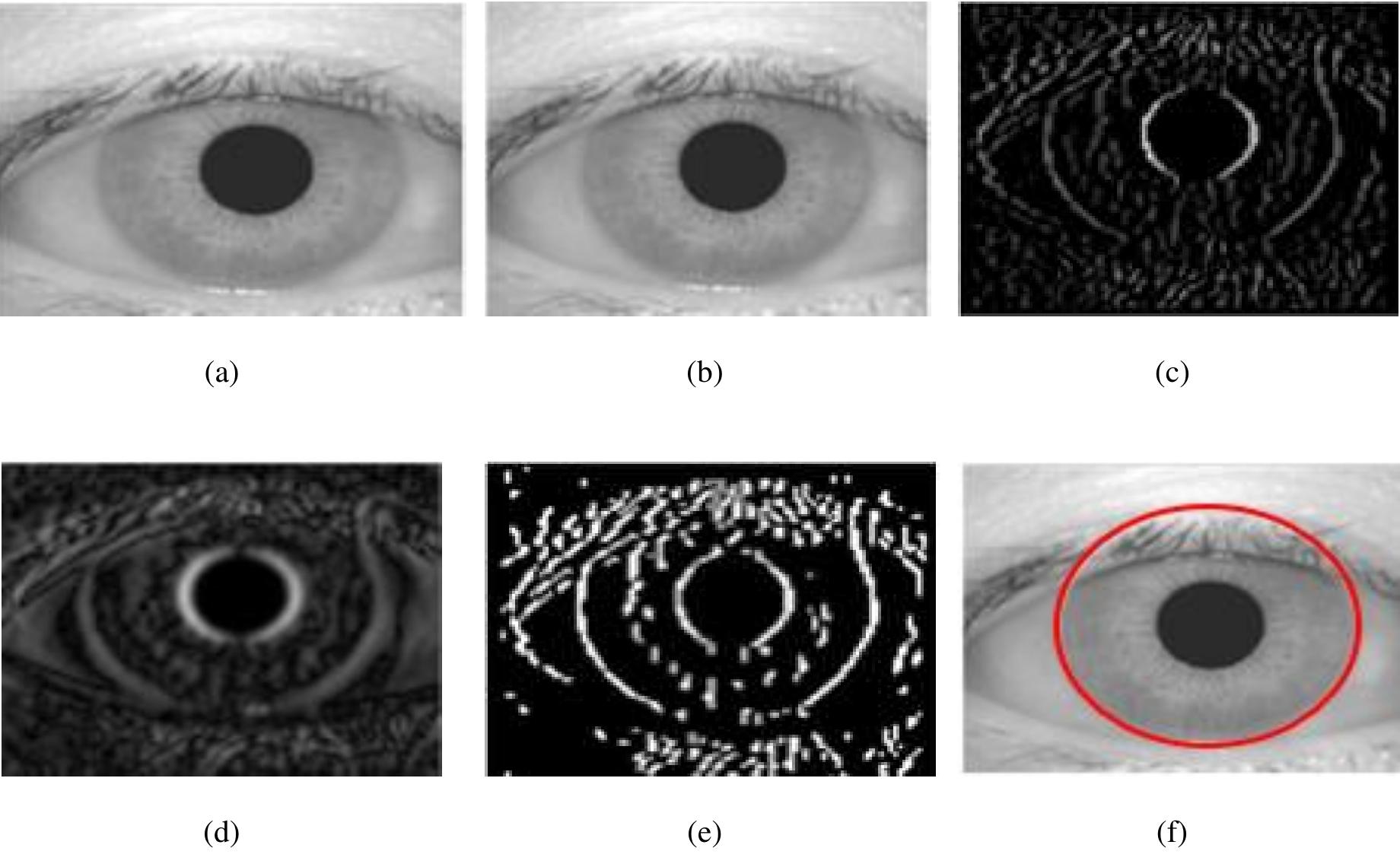 (PDF) Enhance iris segmentation method for person recognition based on ...