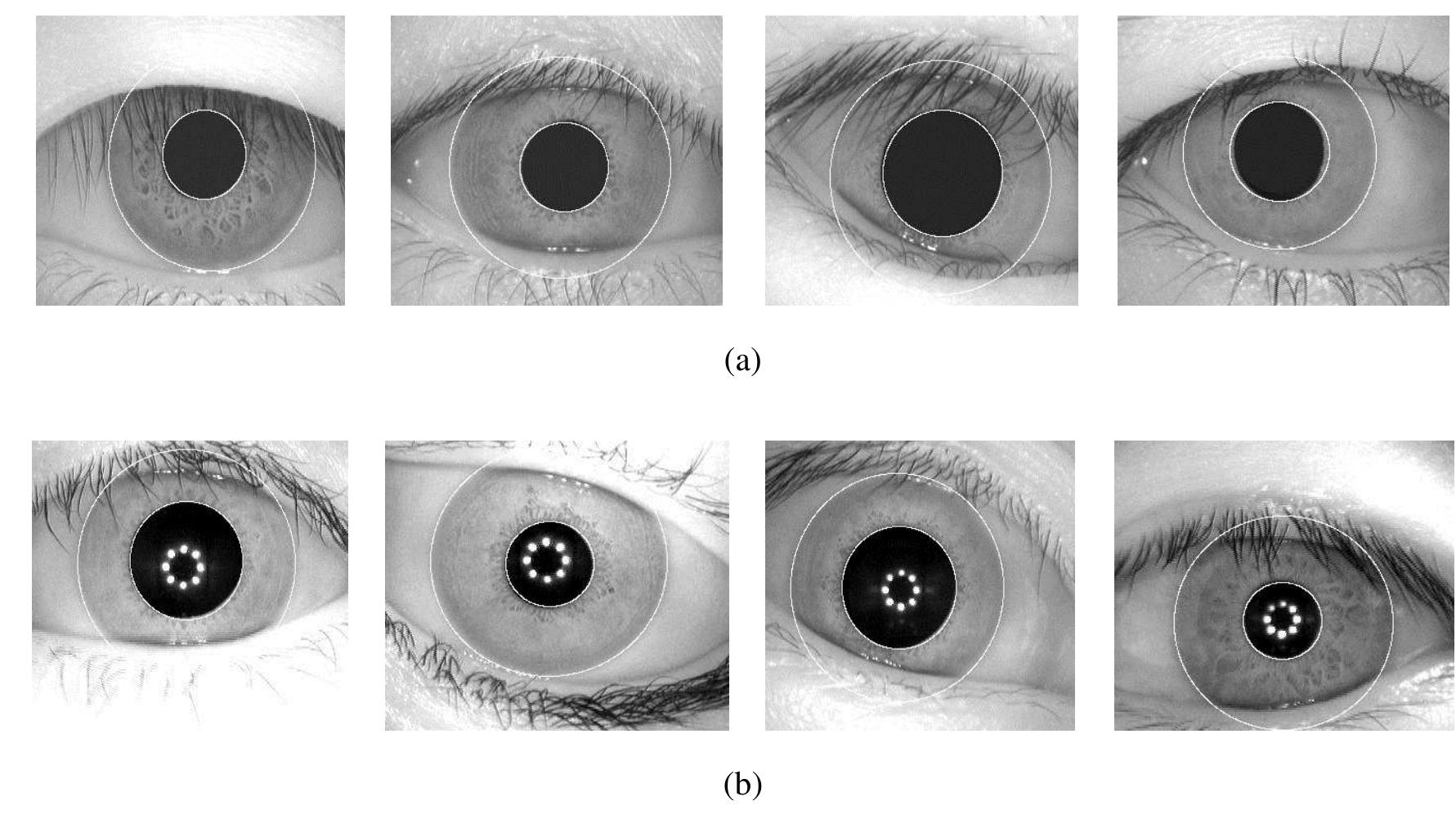 (PDF) Enhance iris segmentation method for person recognition based on ...