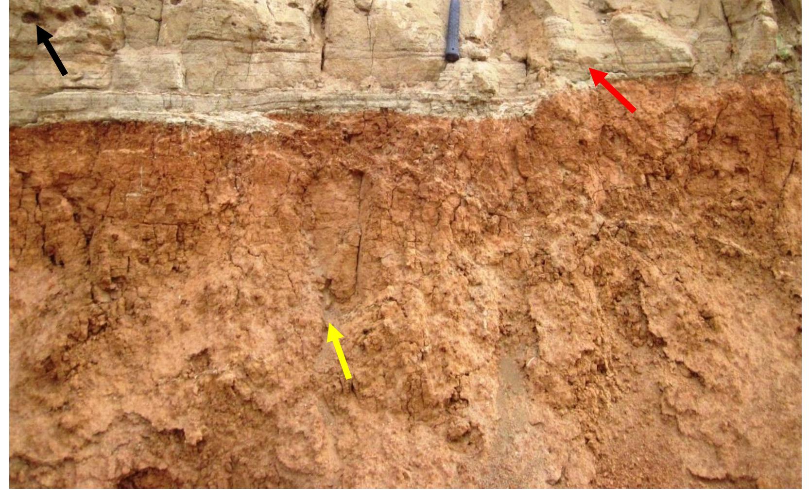 Hiderated Rocks (PDF) Facies and Depositional Environments of Injana Formation in ...