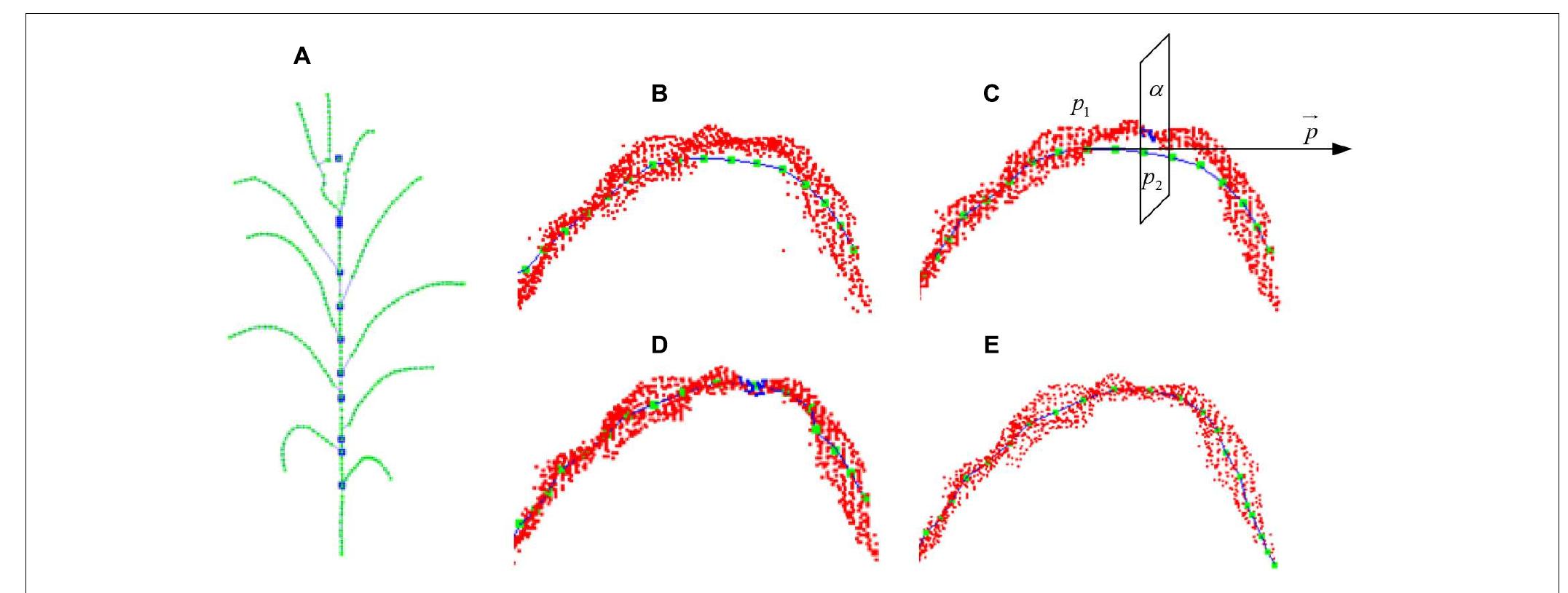 (PDF) An Accurate Skeleton Extraction Approach From 3D Point Clouds of ...