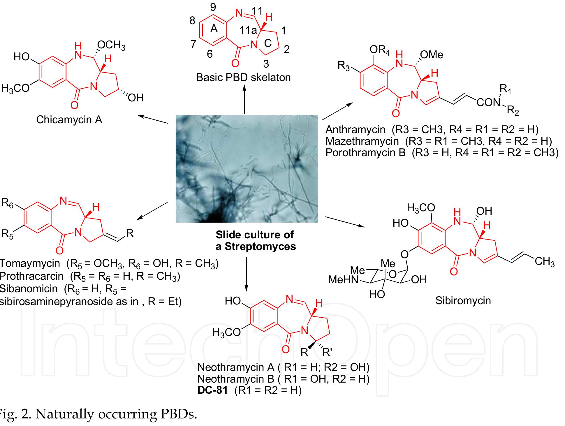 Selective Binding Printer (PDF) Pyrrolobenzodiazepines as Sequence Selective DNA Binding Agents