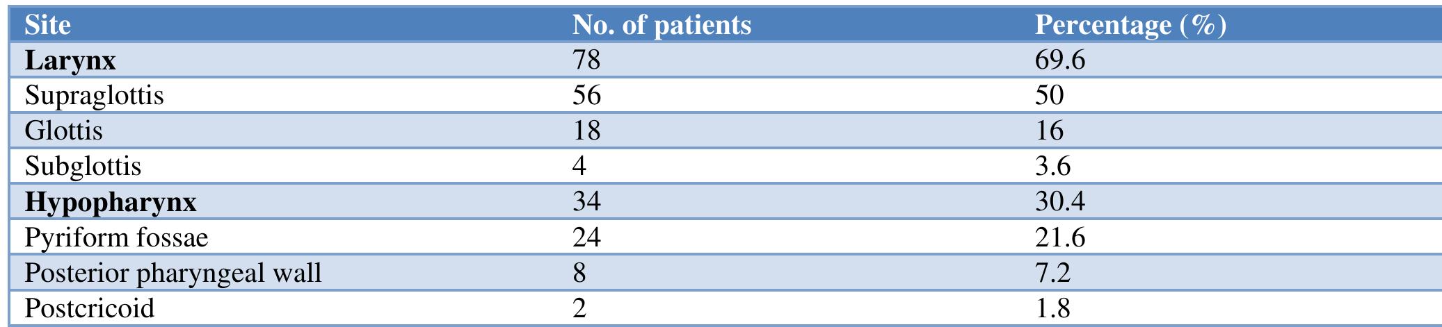 Histological grades of differentiation of squamous cell